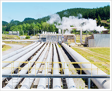 Electric power / geothermal power generation / nuclear power plant