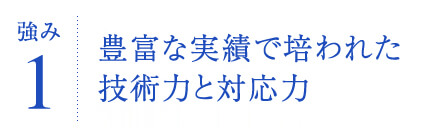 豊富な実績で培われた技術力と対応力